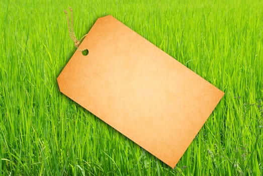 Sale Tag On Green rice fields