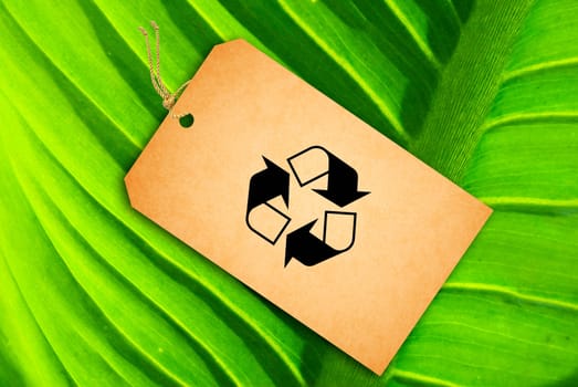 Sale Tag on a green leaf as background
