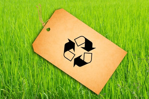 Sale Tag On Green rice fields