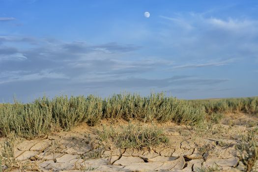 Arid landscape with cracked mud and sparse tufted grass conceptual of climatic change and drought due to global warming