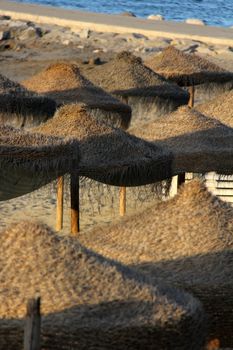many straw umbrellas on the seaside at the beach
