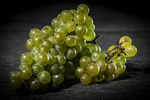 Organic grapes on dark background, dramatic lights