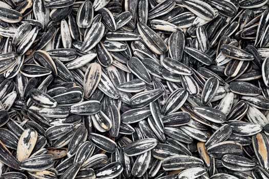 sunflower seeds background