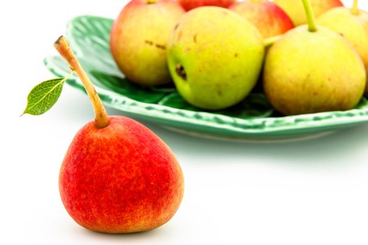 Lots of little ripe pears on white background