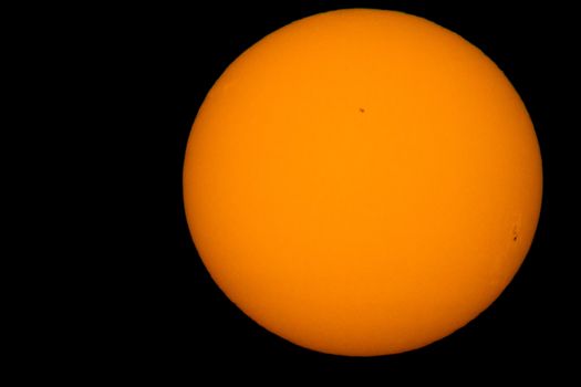 Photo of the sun with an especial leaf. In the photo we can see some sunspots