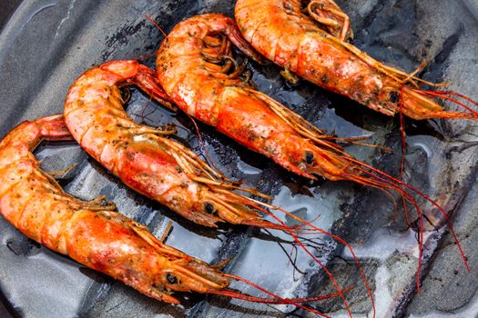 Lots of grilled shrimp on a griddle