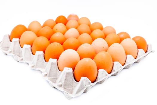 Eggs in a carton isolated on a white background