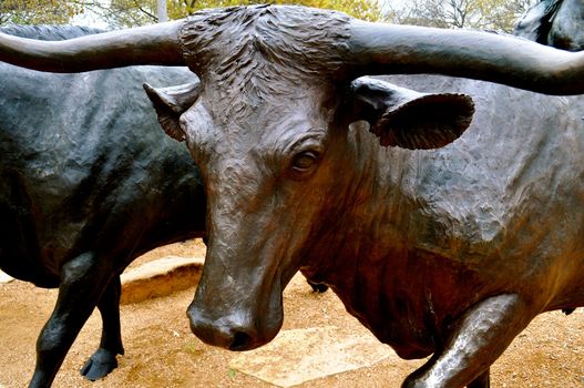 Waco statue longhorn closeup