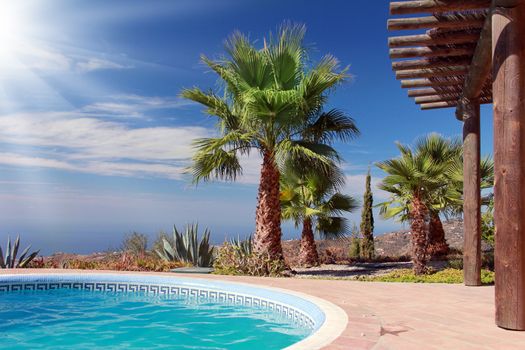 Tropical Scene with swimming pool and nice palm