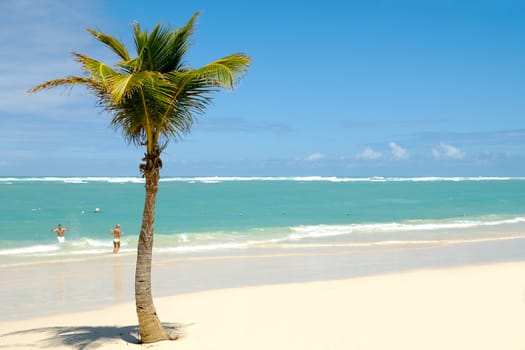 Palm on exotic caribbean beach with the coast in the background. In the water a man and a woman is going to swim.