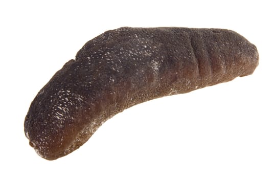 sea cucumber. close up of dried sea cucumber