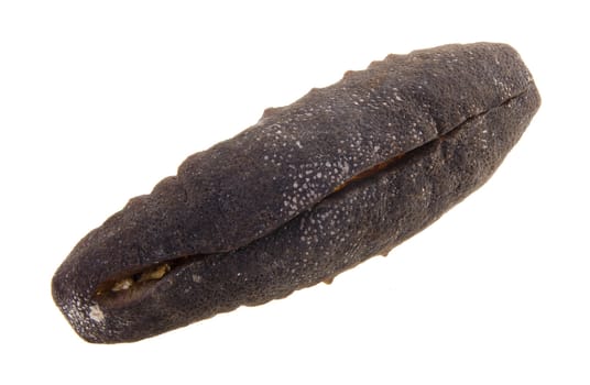 sea cucumber. close up of dried sea cucumber
