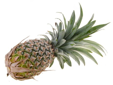 Pineapple, Pineapple tropical fruit on the background