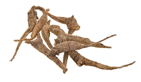 ginseng. Dried Ginseng On Background