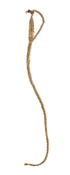 ginseng. Dried Ginseng On Background