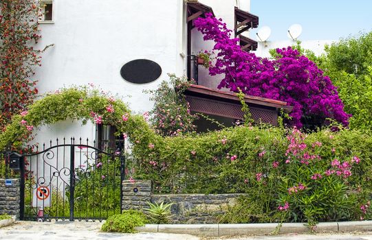 wrought iron gates and hedges in front of house