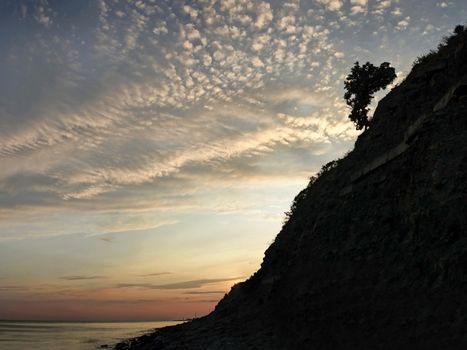 lonely tree on a hillside near the sea