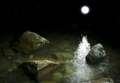 rocks near the shore in the moonlight