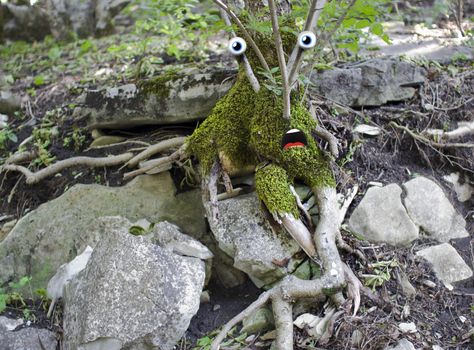 Surprised tree dressed in moss on a stone hillside