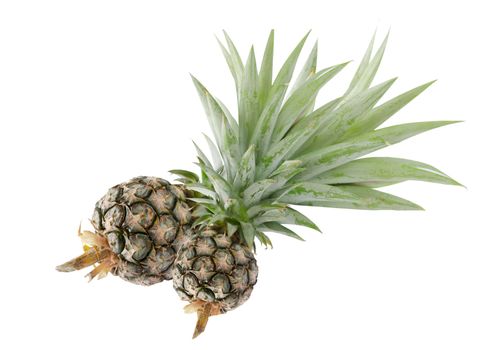  fresh of ripe  pineapple  on white