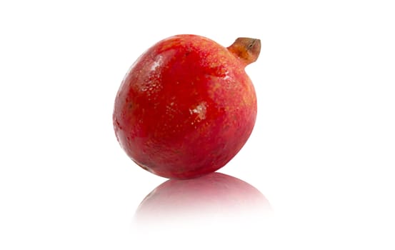 Pomegranate on white background with reflection