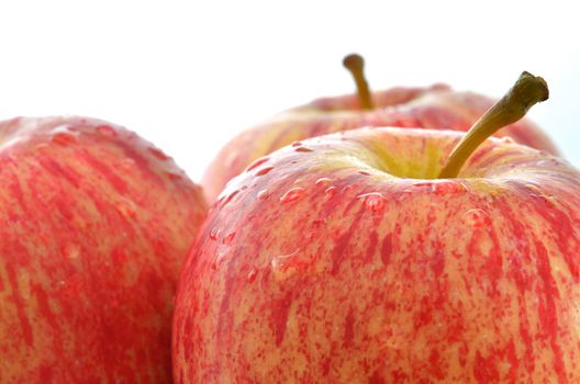 Apples