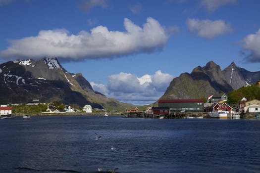 Fishing port in town of Reine on Lofoten islands in Norway