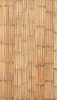 Bamboo background