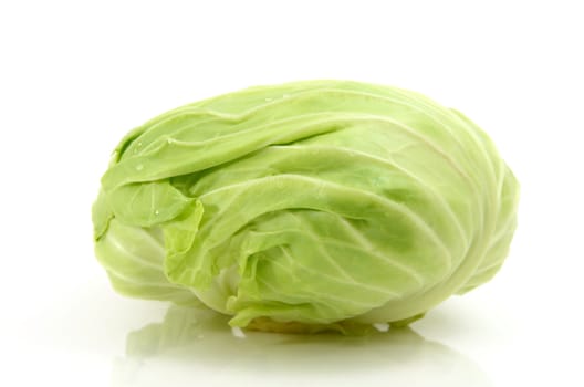 Cabbage isolated on white