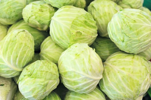 Cabbage in Market