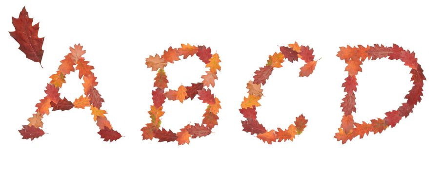 alphabet made of autumn leaves for education