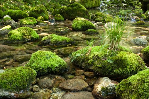 Small stream with rocks covered with moss