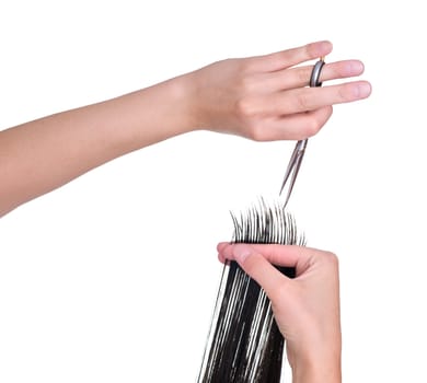 hairdresser cutting young woman with long black hair