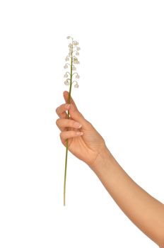 Woman holding lily of the valley in the hand