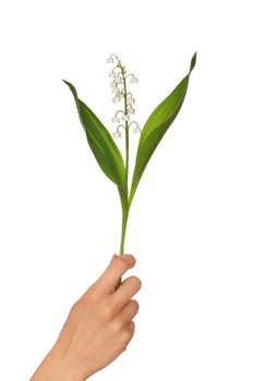Woman holding lily of the valley in the hand