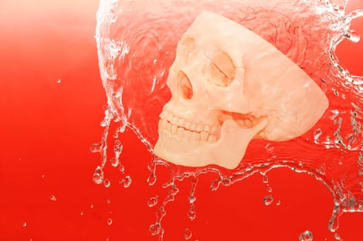 white skull in the water on red background