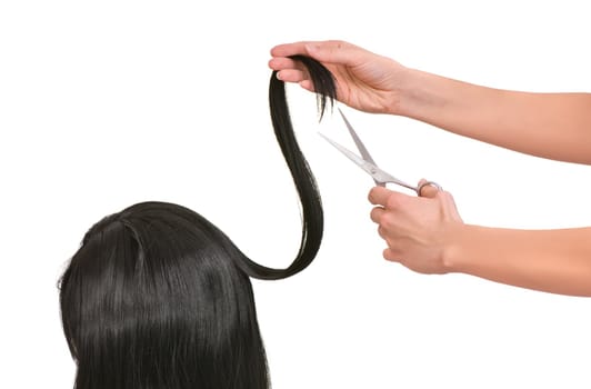 hairdresser cutting young woman with long black hair