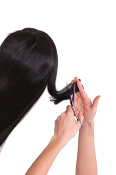hairdresser cutting young woman with long black hair