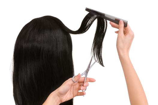 hairdresser cutting young woman with long black hair