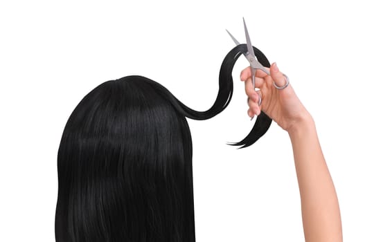 hairdresser cutting young woman with long black hair