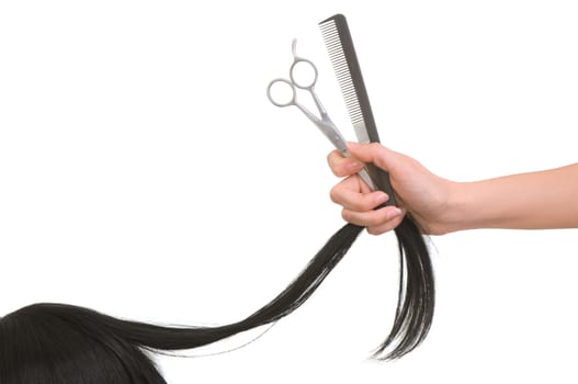 hairdresser cutting young woman with long black hair