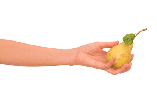 Yellow pear with a green leaf in hand