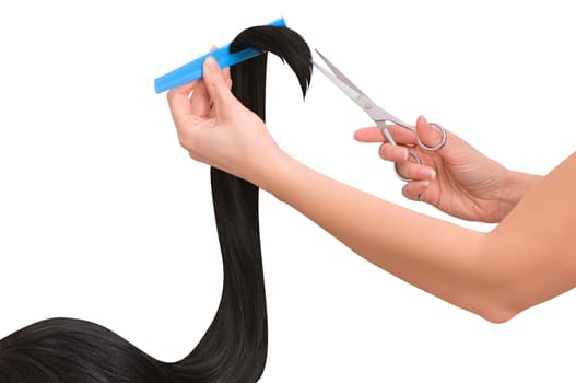 hairdresser cutting young woman with long black hair