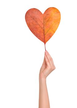 woman holding autumn leaf in the shape of heart