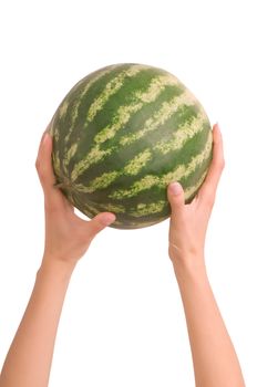 small watermelon in the woman's hand on white background