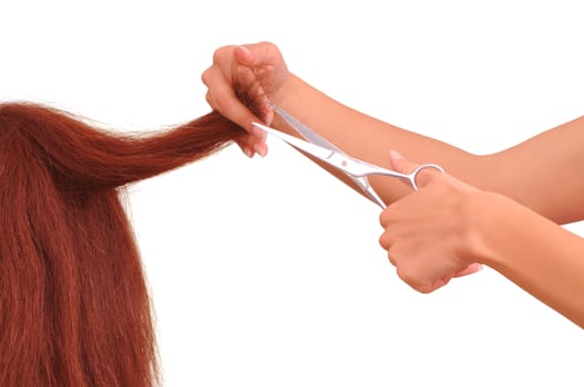 hairdresser cutting young woman with long brown hair