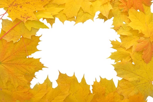 frame made of yellow autumn leaves on white background