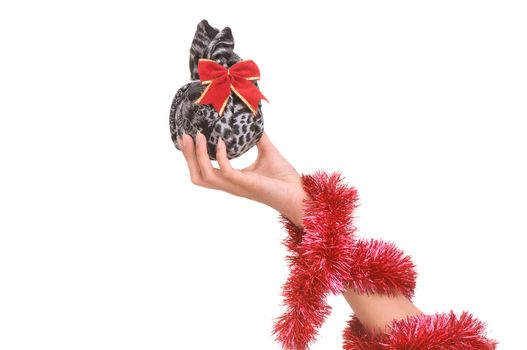 gift in the grey bag on white background