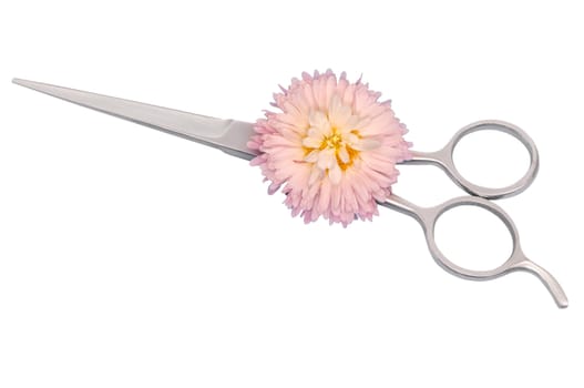 Closed scissors for haircut with flower on white background