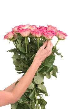 Wedding bouquet of roses in the woman's hand on white background